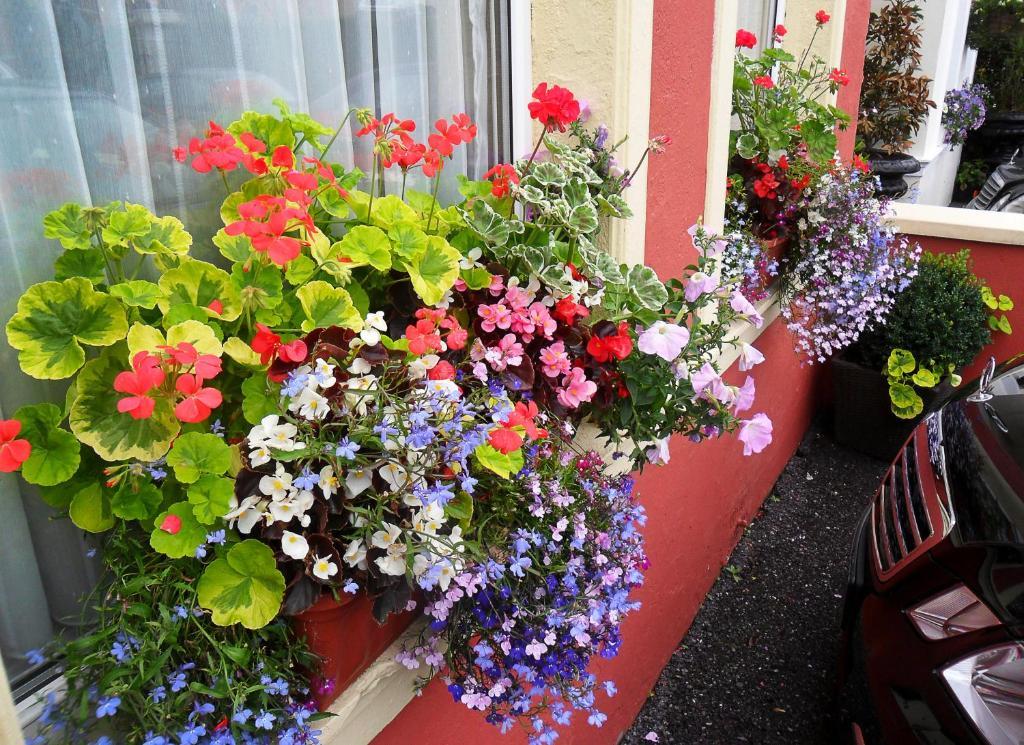 Achill House Cork Exterior foto